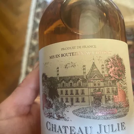 فندق Fsp Chateau Julie Virsac