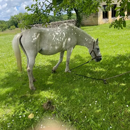 Fsp Château Julie Virsac