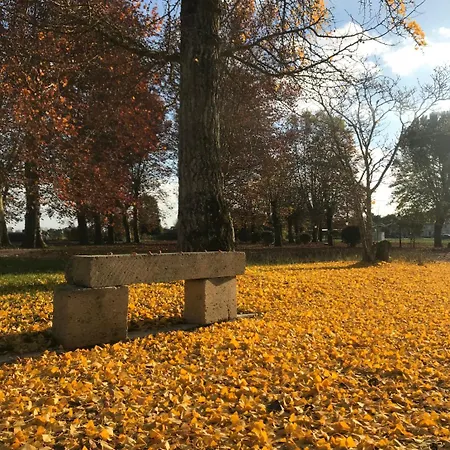 Hotel Fsp Château Julie 3*