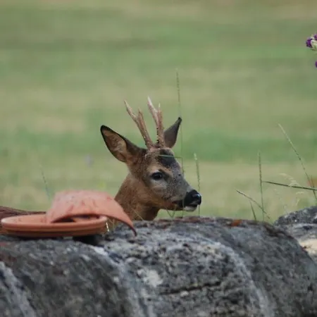 Hotel Fsp Château Julie Virsac