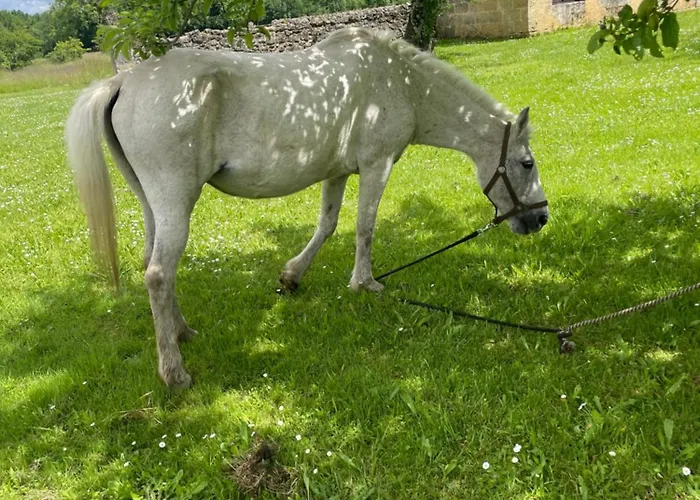 Fsp Chateau Julie Virsac