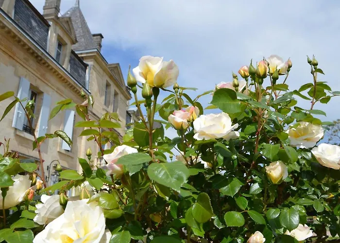 Fsp Chateau Julie فندق