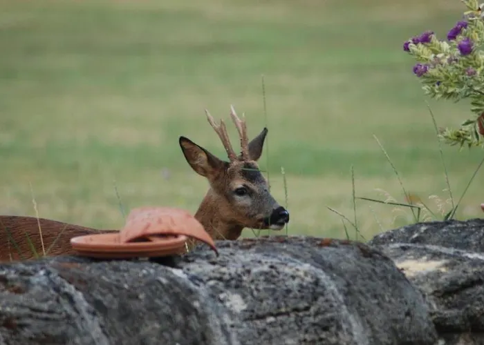 فندق Fsp Chateau Julie Virsac