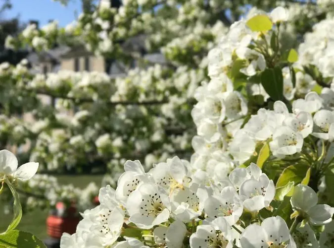 فندق Fsp Chateau Julie Virsac